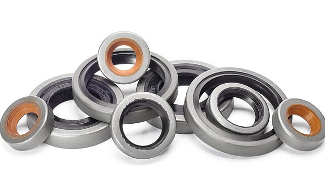 Rubber reinforced oil seals for vehicle engines