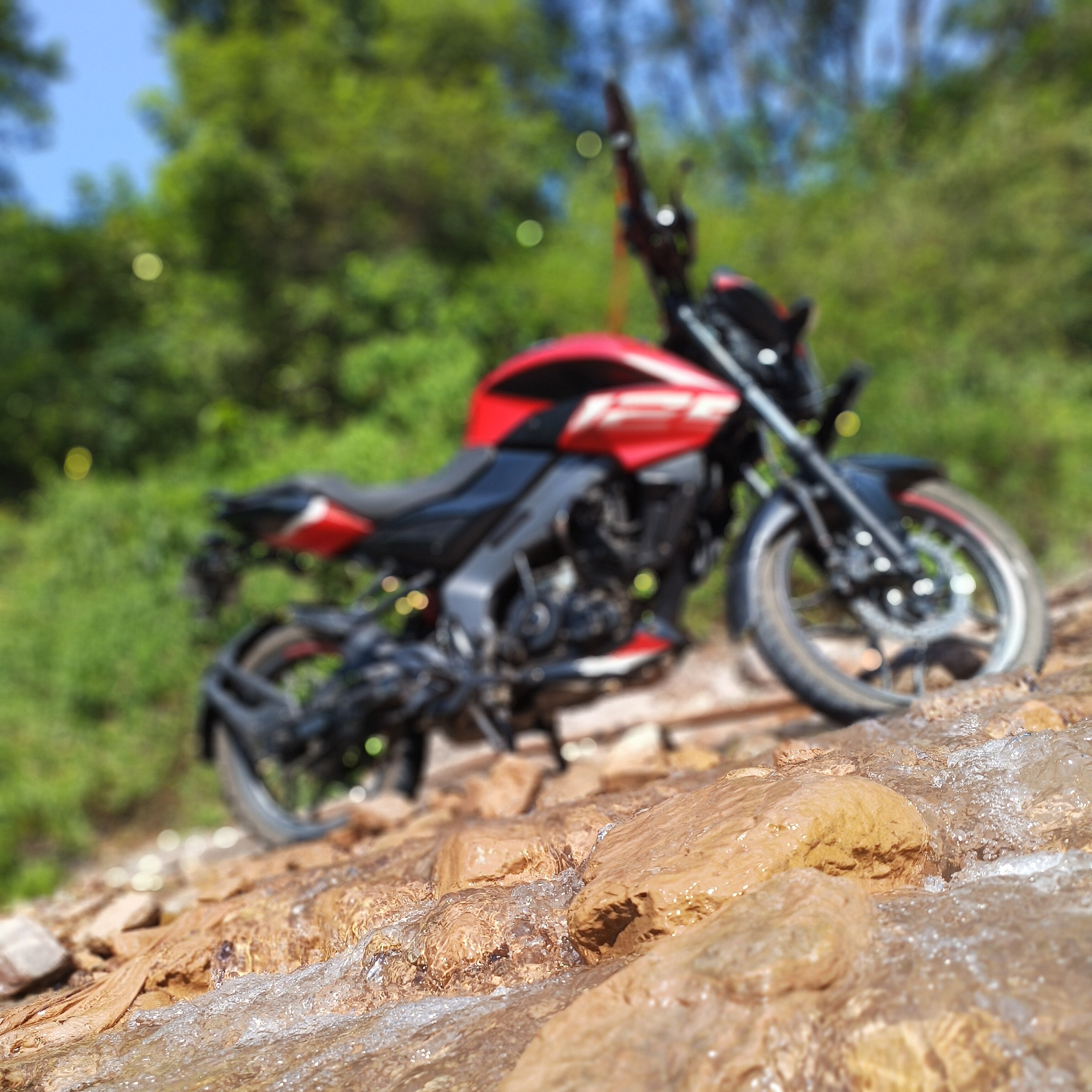 Pulsar off road online bike