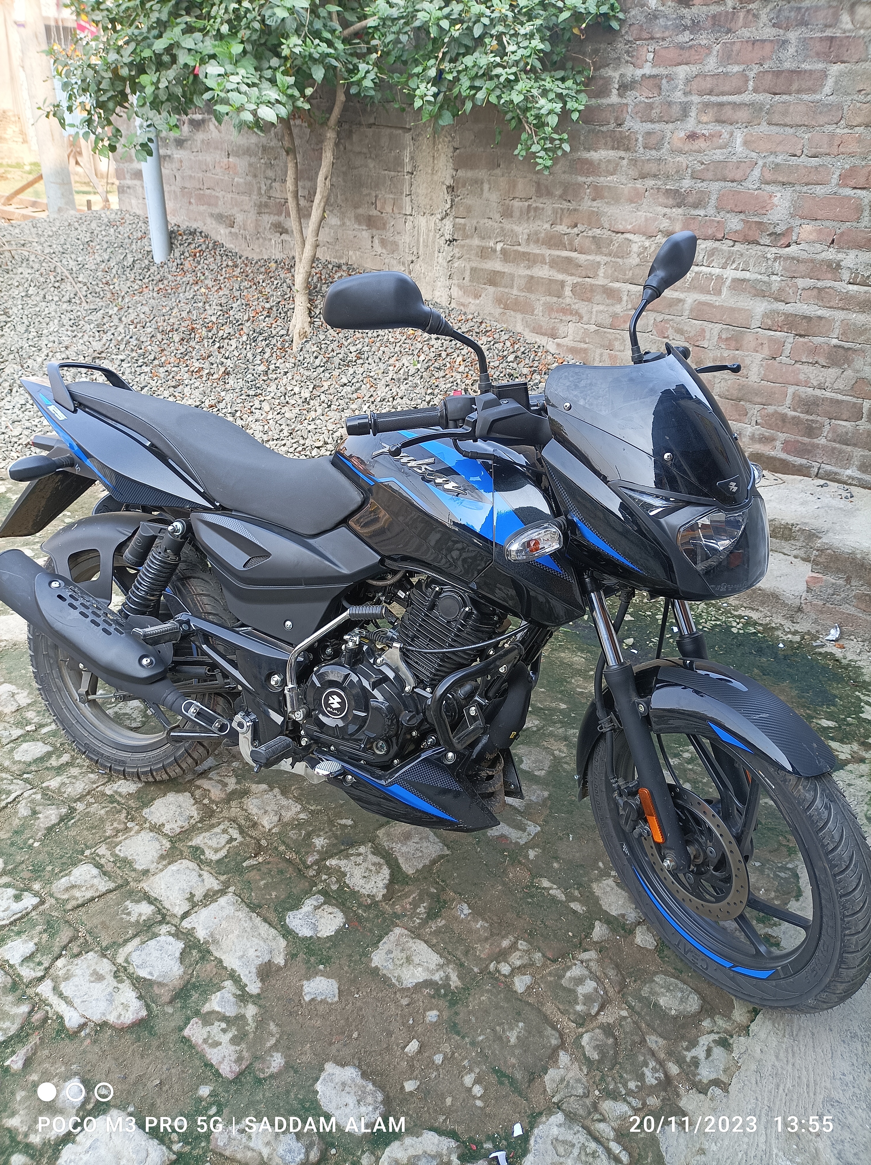 Cost of pulsar 125 hot sale