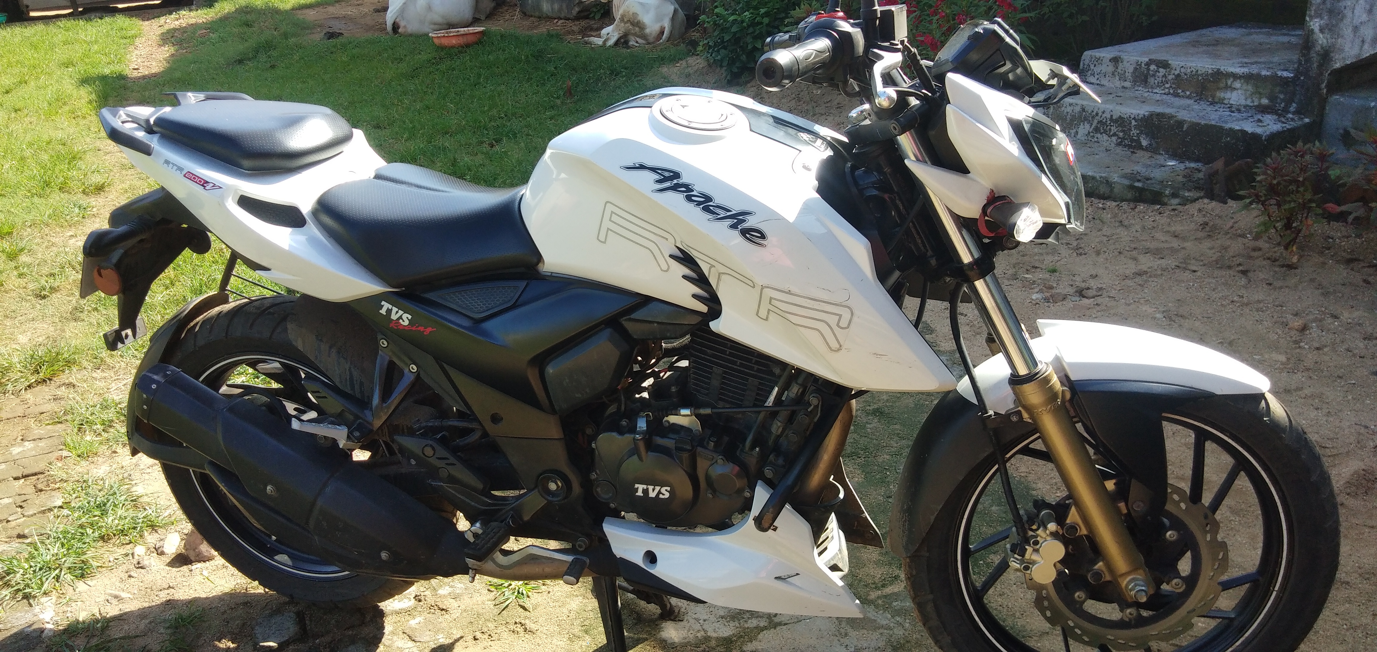 Apache rtr 200 on sale white colour price