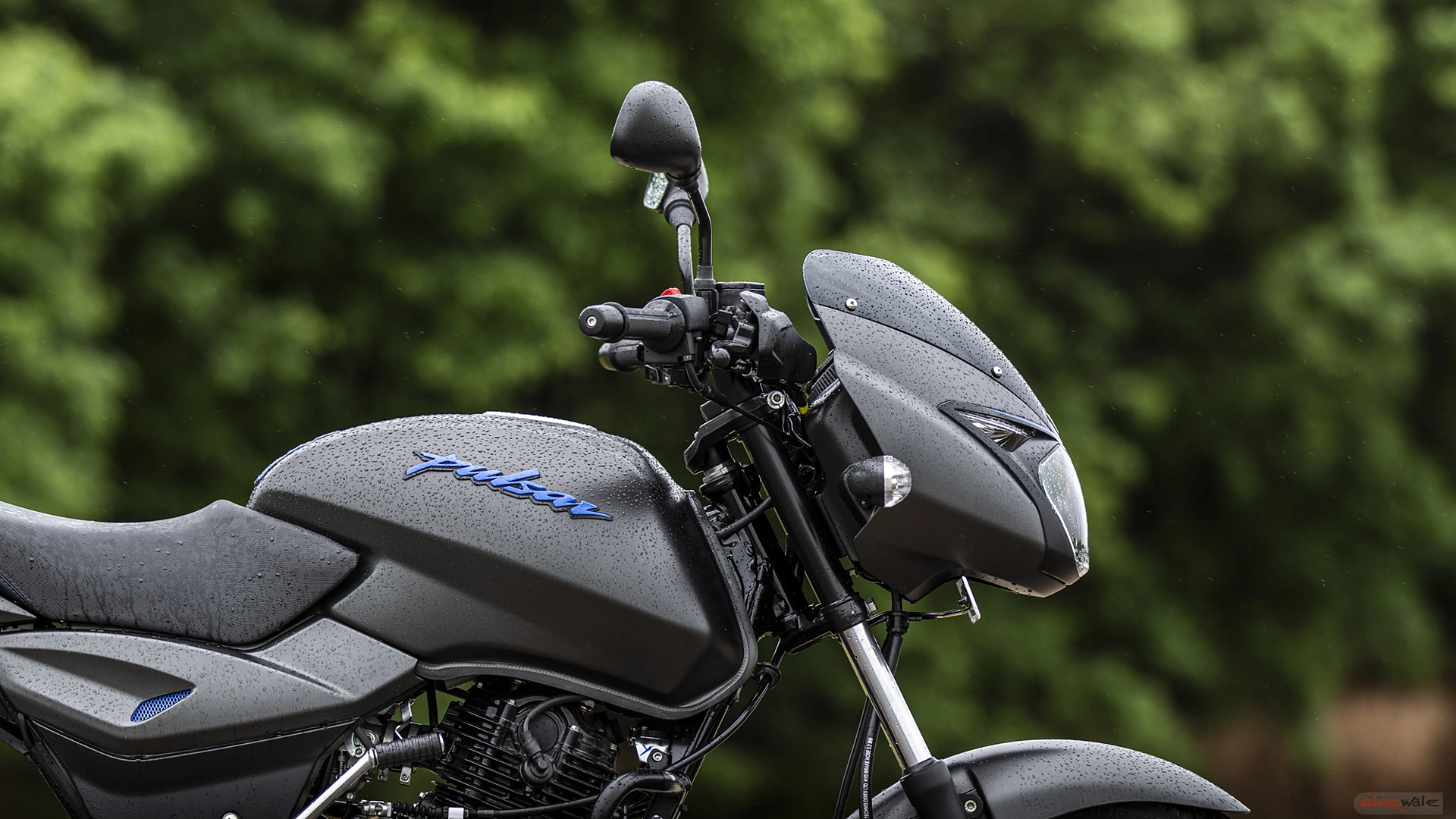 Bajaj Pulsar 125 Colours in India, 6 Pulsar 125 Colour Images - BikeWale Bajaj Pulsar 125 Colours in India, 6 Pulsar 125 Colour Images - BikeWale