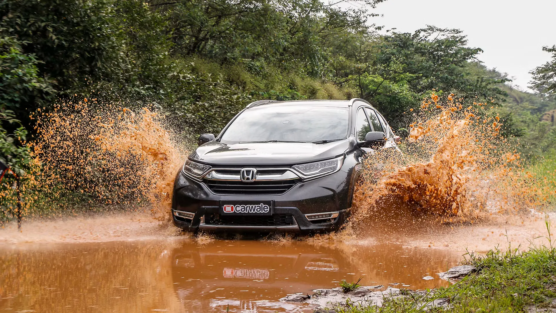 Honda CR-V Modern Steel Metallic Colour, CR-V Colours in India 