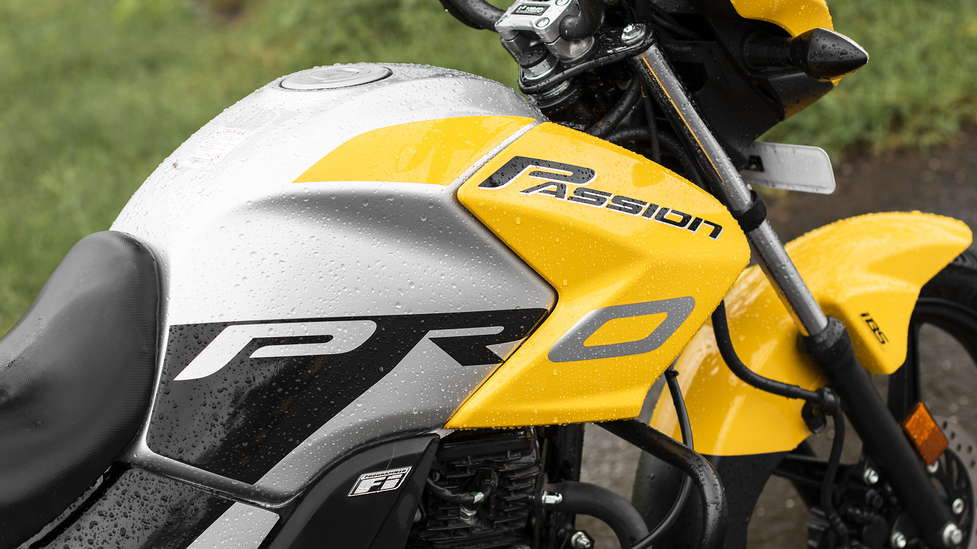 passion pro yellow colour price