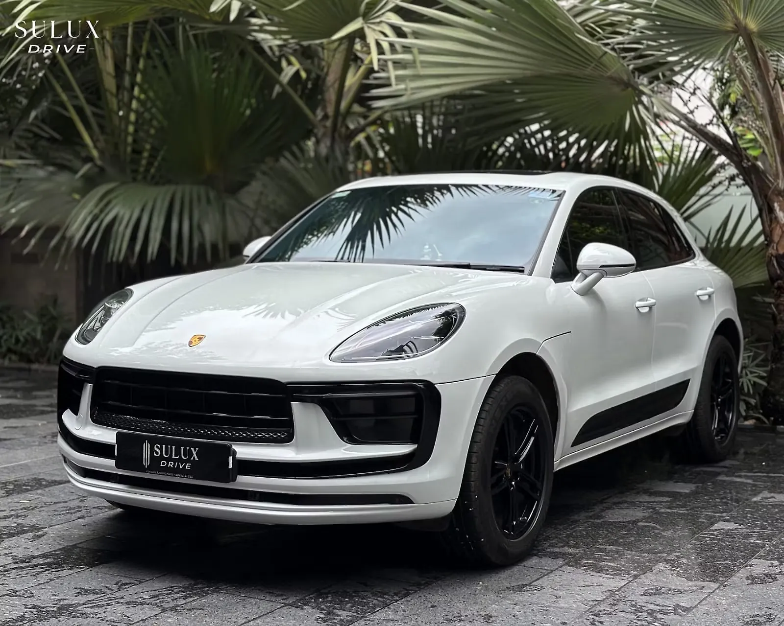 2025 Porsche Macan Base 2025 Porsche Macan Base