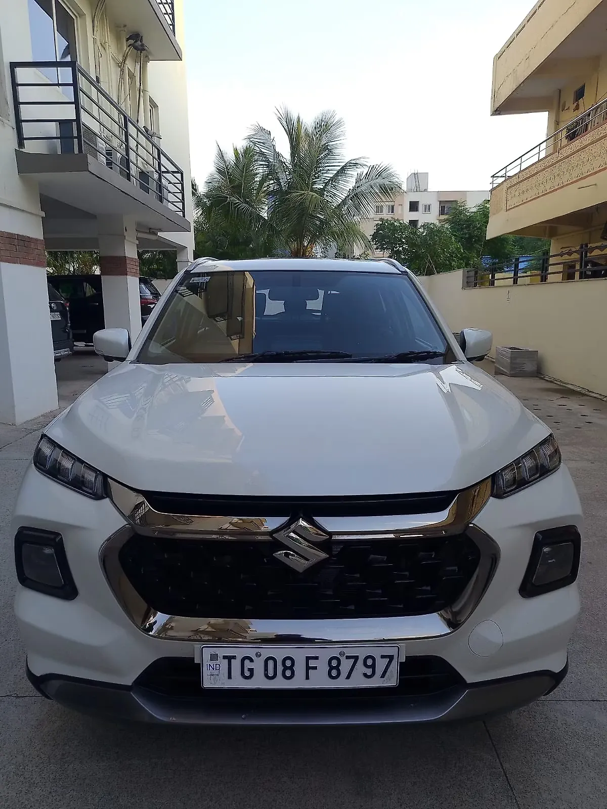 2024 Maruti Suzuki Grand Vitara Alpha Plus Intelligent Hybrid eCVT Dual Tone [2022-2025]