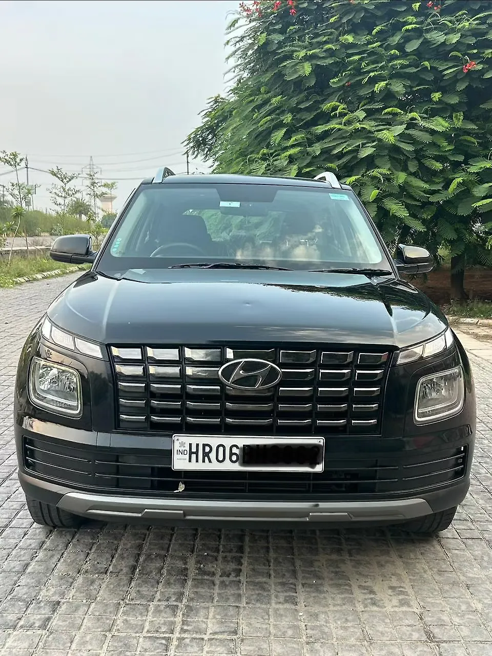 2024 Hyundai Venue S Plus 1.2 Petrol MT [2024-2025]