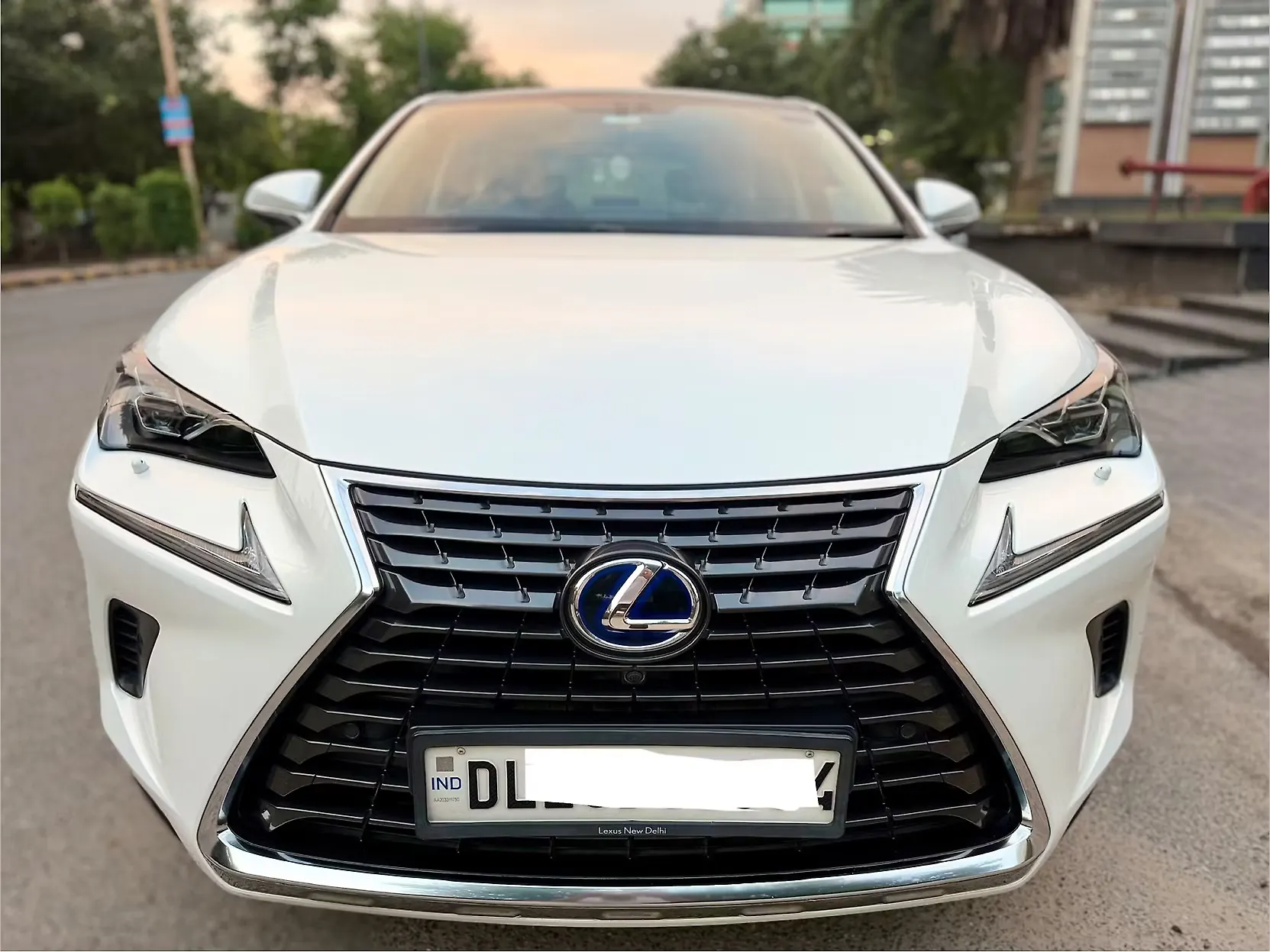 2021 Lexus NX 300h Luxury
