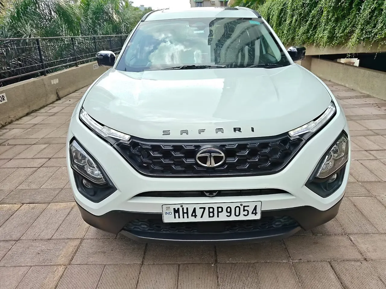 2024 Tata Safari Adventure Plus AT 7 STR