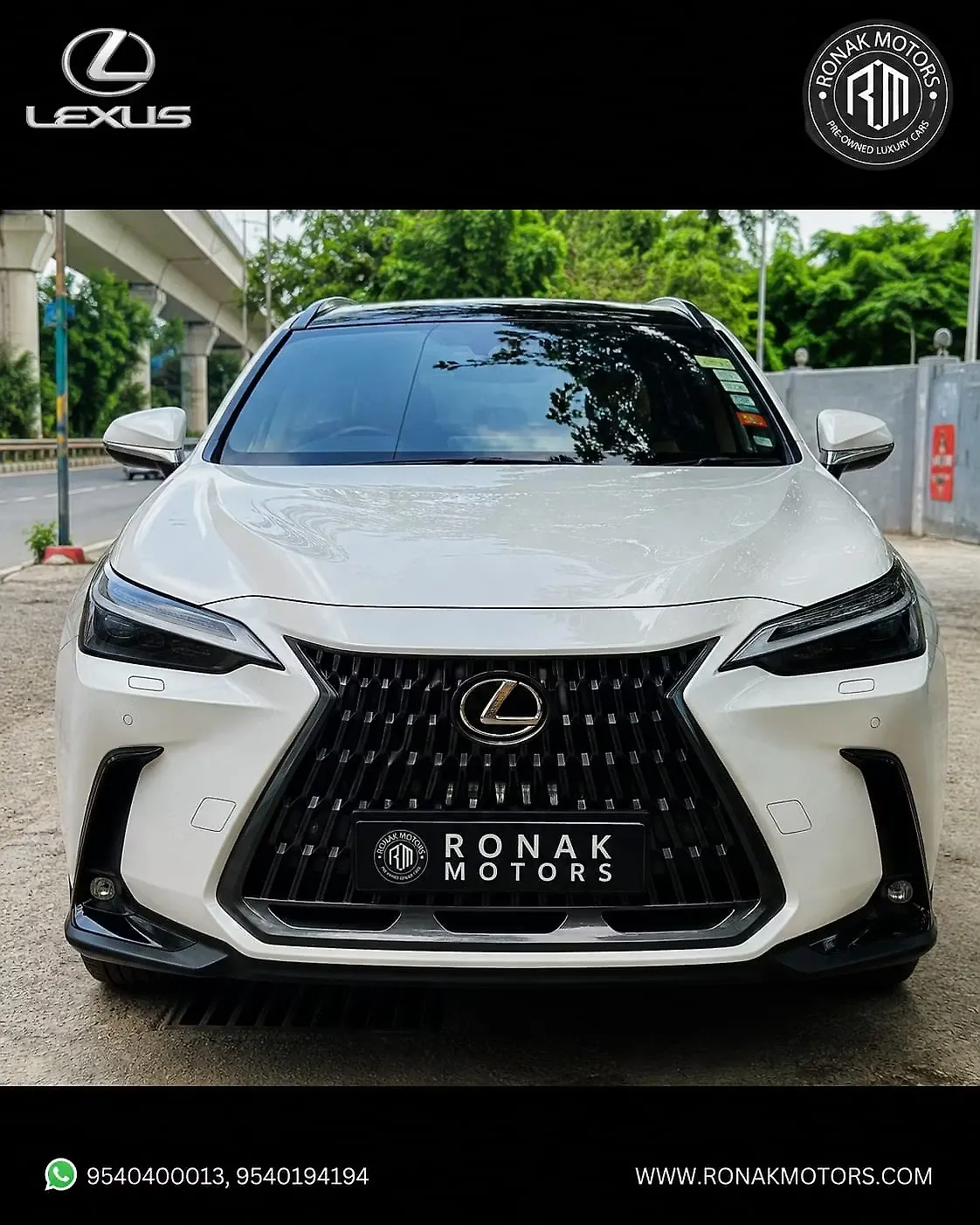 2025 Lexus NX 350h Luxury