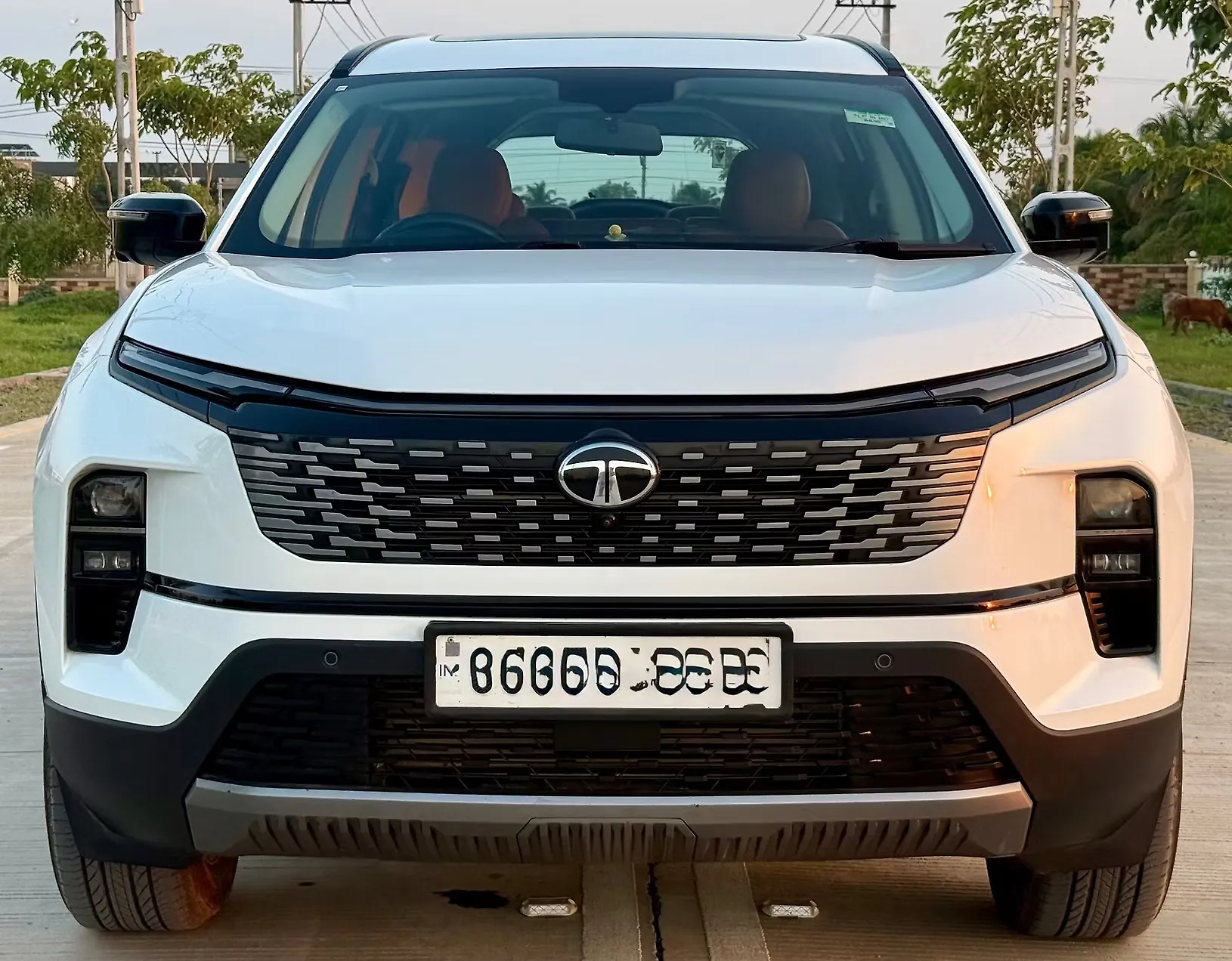 2024 Tata Safari Adventure Plus 7 STR