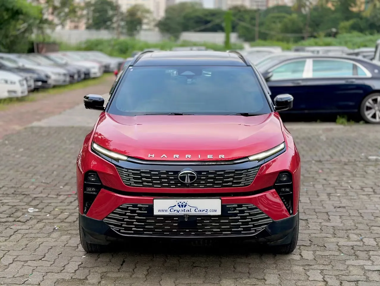 2025 Tata Harrier Fearless Plus Dual Tone AT