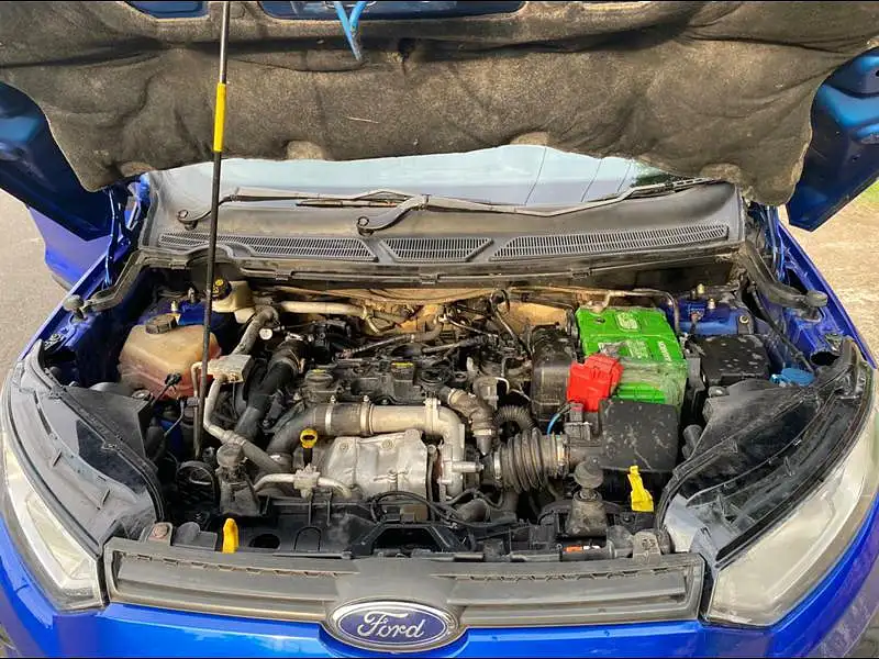 Second Hand Ford EcoSport [2017-2019] Trend 1.5L TDCi in Bhopal