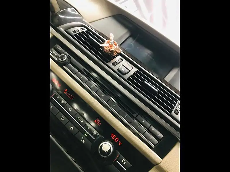 Second Hand BMW 5 Series [2010-2013] 523i Sedan in Bangalore