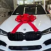 user-review-images-703827-0