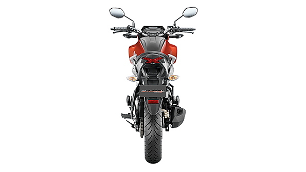 Honda hornet deals back