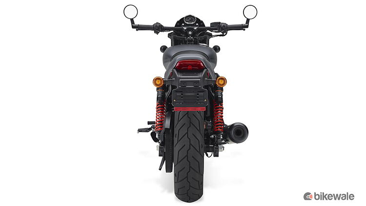 Harley-Davidson Street Rod [2018-2019] Rear