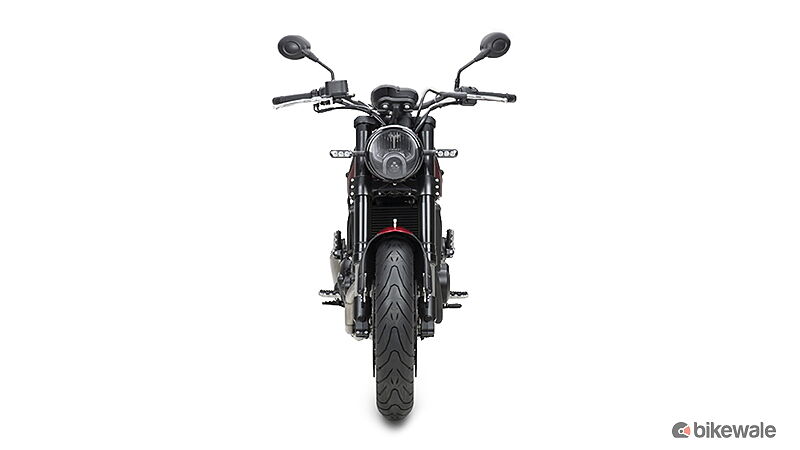 Benelli Leoncino 500 BS4 Front