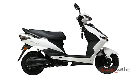Falcon Image
