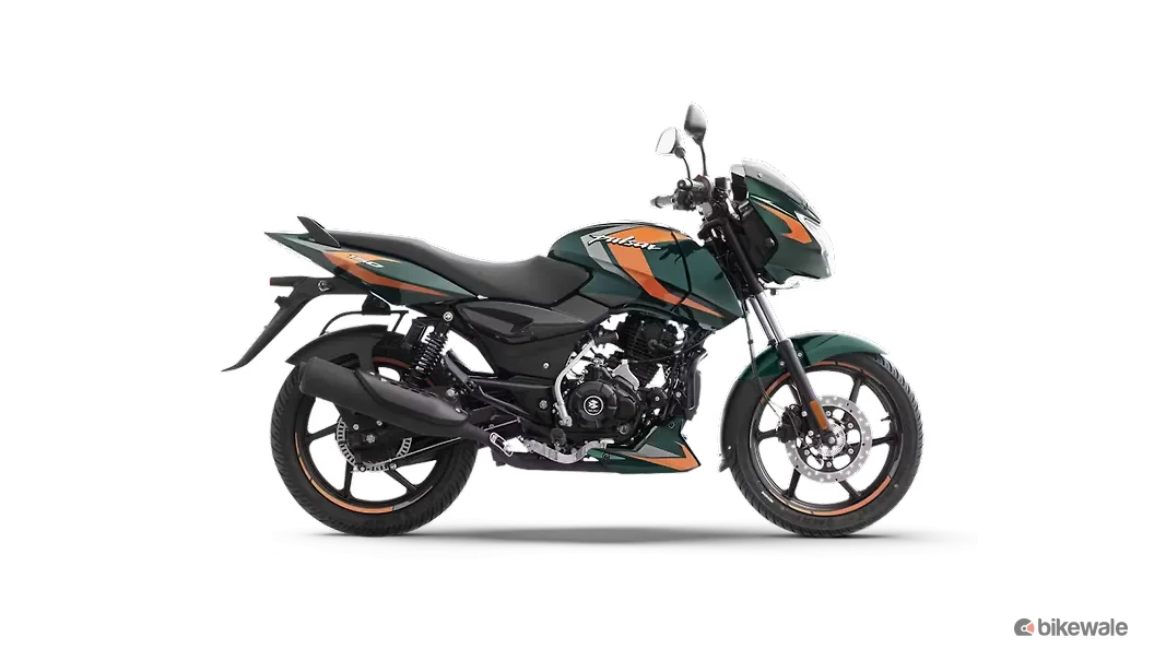 Bottle Green with Copper Beige