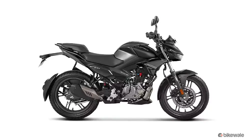 Stallion Black