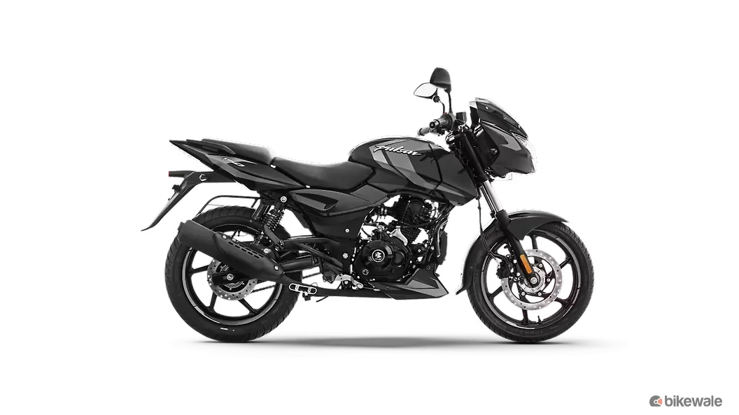 Ebony Black Dark Grey (Split Seat)