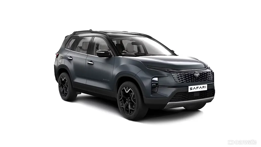 डेटोना ग्रे