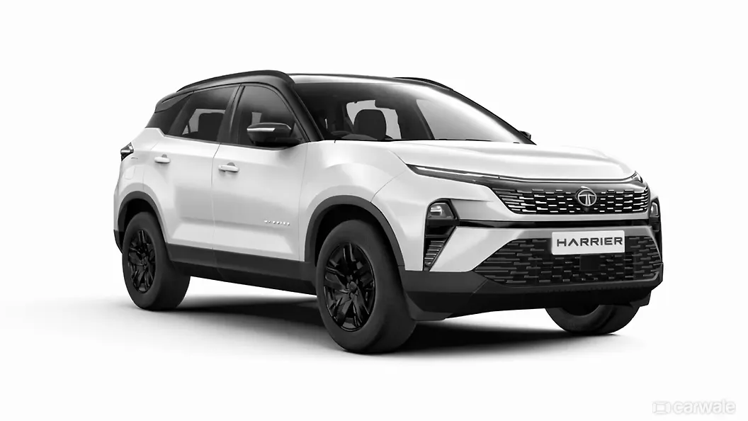 Pristine White With Dual Tone