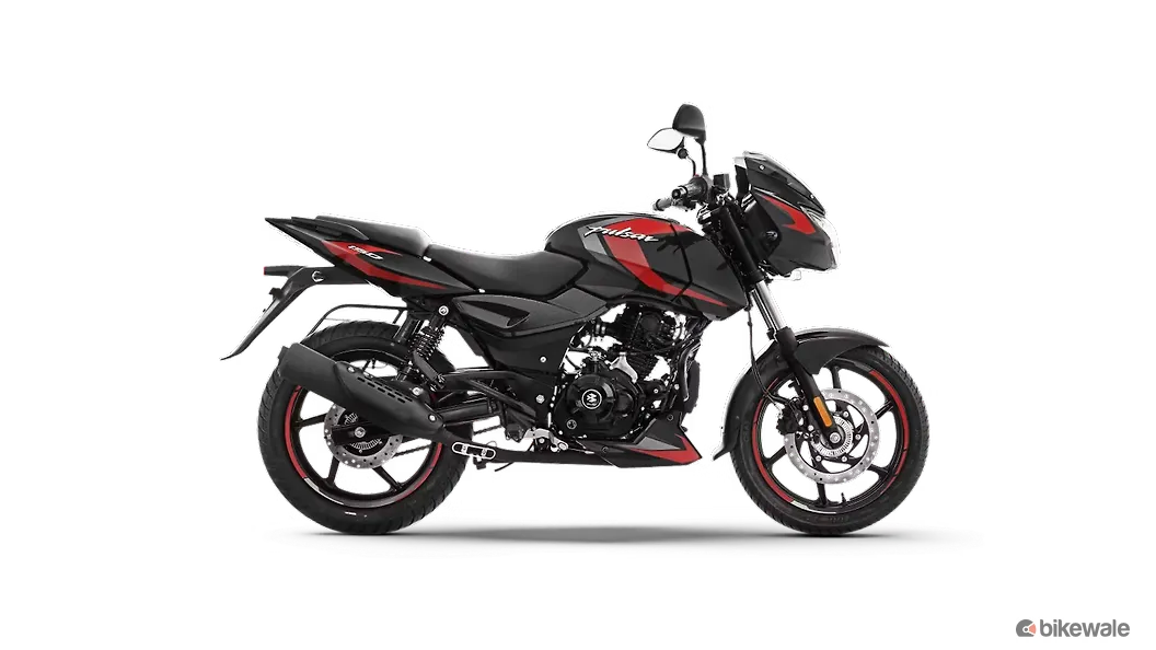 Ebony Black Cherry Red (Split Seat)