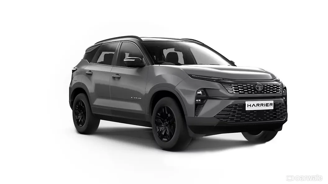 डेटोना ग्रे