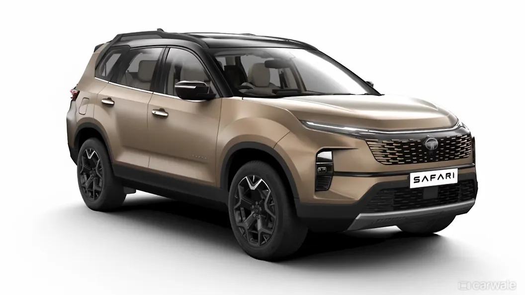 Cosmic Gold With Dual Tone