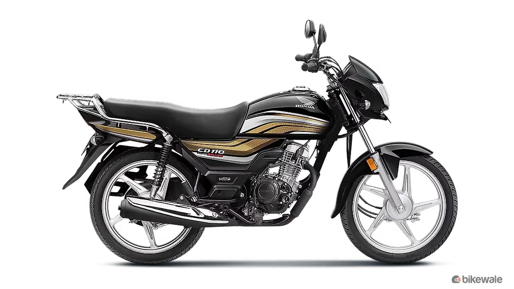 Black with Cabin Gold