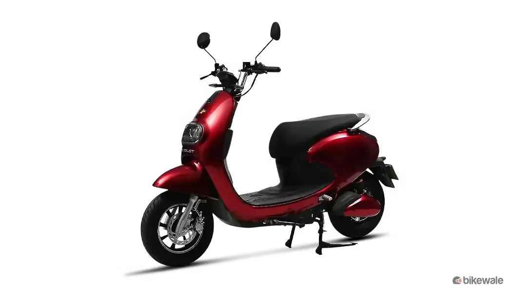 ईवोलेट पोनी Image