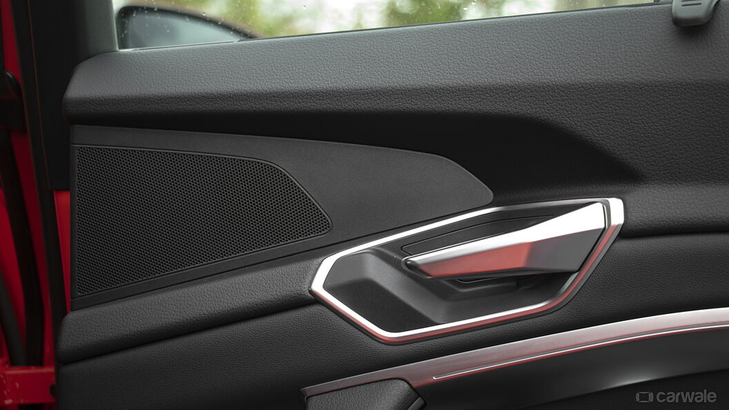 Audi e-tron Rear Door Pad Handle