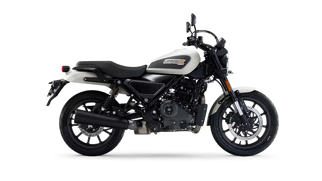 Vivid Goldfish Silver