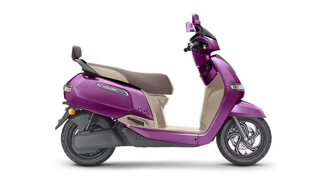 Magnificence Purple