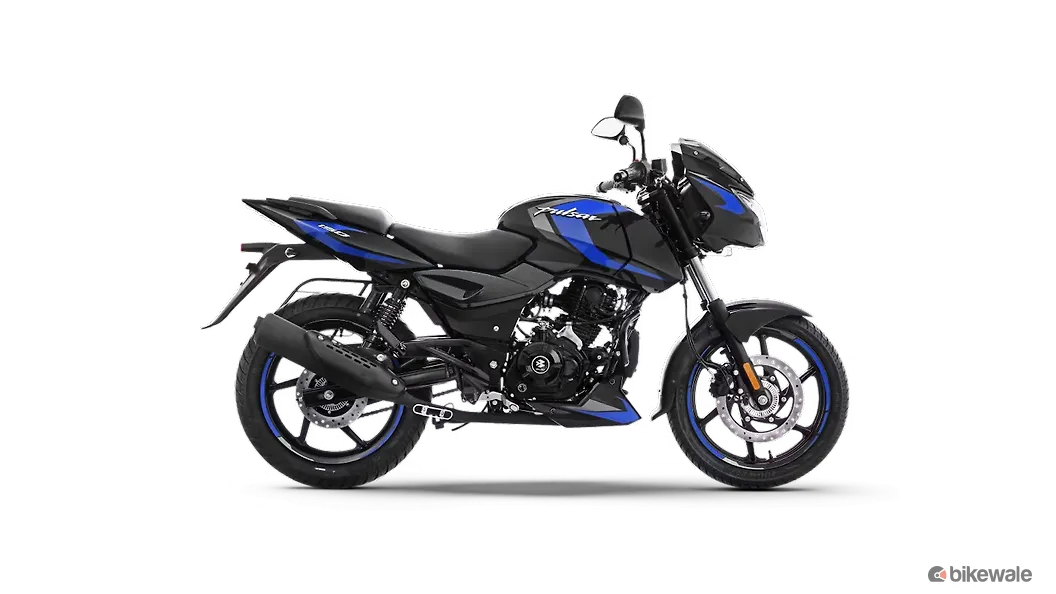 Ebony Black Ink Blue (Split Seat)