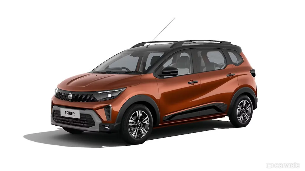 Amber Terracotta with Black Roof