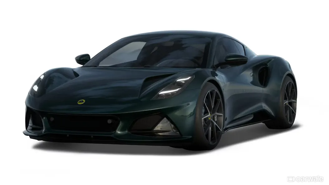Dark Verdant(Green)