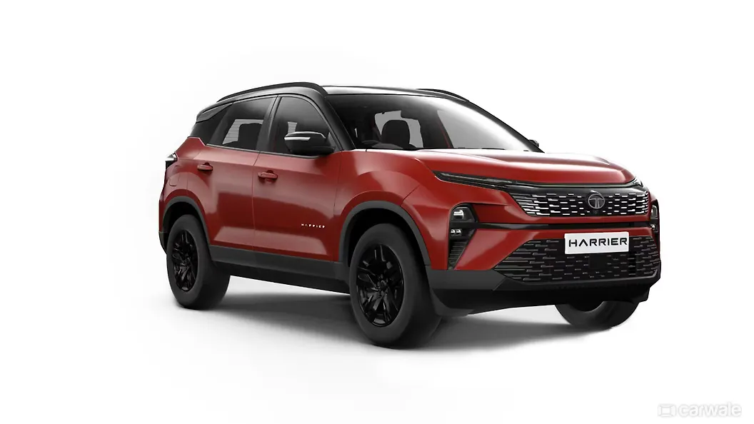 फीयरलेस रेड