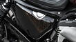 Harley-Davidson Roadster Side