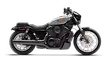 Nightster Special