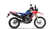 XR300 Rally