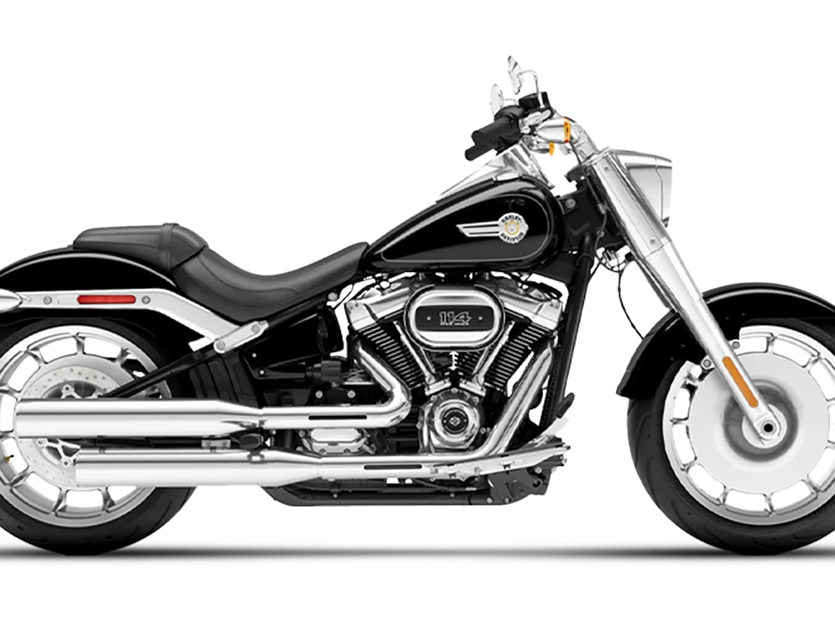 2019 harley davidson shops fatboy for