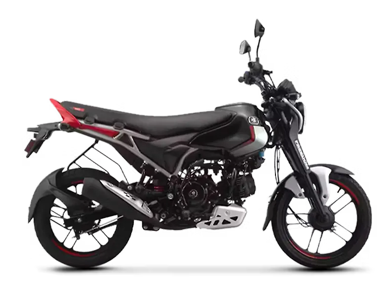 cng-freedom-125-right-side-