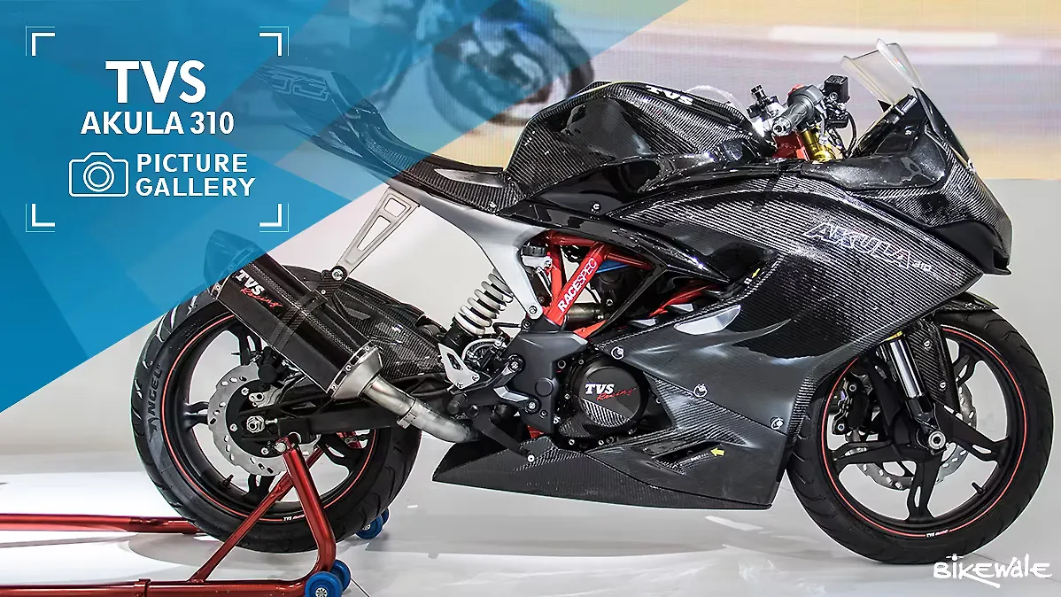 akula bike price