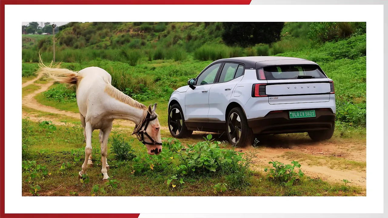 Infographics Infographics