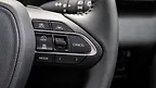 Right Steering Mounted Controls Image