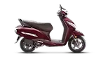 Model Image