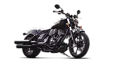 Indian Chief Dark Horse