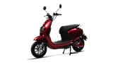 Evolet Pony